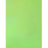image:imageAllegra K Metallic Crop Top for Womens Sleeveless Cut Out Party Clubwear Holographic Tank TopsShiny Green