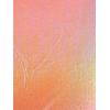 image:imageAllegra K Metallic Crop Top for Womens Sleeveless Cut Out Party Clubwear Holographic Tank TopsShiny Orange