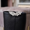 image:imageAllegra K 2 PCS Womens Rhinestone Shoe Clips Crystal Wing Clips for Heels and FlatsSilverCrystal