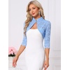 image:imageAllegra K Elegant Lace Bolero Shrug for Women 34 Sleeve Stand Collar Sheer Floral Lace Cardigan TopSky Blue