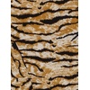 image:imageAllegra K Womens Animal Print Long Sleeve Ruffle Hem Scoop Neck Casual Peplum TopApricottiger