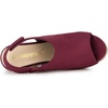 image:imageAllegra K Womens Platform Sandals Wedge Heels  4 12 inches Heel Espadrille Slingback Comfortable Faux Suede perfect for Evening Party Wedding Date NightBurgundy