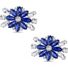image:imageAllegra K 2 PCS Womens Rhinestone Flower Shoe Clips Fashion Crystal Shoes Buckles Decoration for Wedding PartySilver