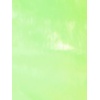 image:imageAllegra K Womens Holographic Shiny Zipper Hooded Metallic Jackets  Special material for special occasions Elastic trim with shimmer Trendy for club holidayFluorescent Green