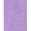 image:imageAllegra K Womens Faux Suede Dress Western Long Sleeve Fall ALine Mini Dresses Cowgirl OutfitPurple