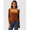 image:imageAllegra K Women Vintage Velvet Puff Long Sleeve Mock Neck Christmas BlouseBrown