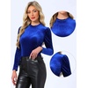 image:imageAllegra K Women Vintage Velvet Puff Long Sleeve Mock Neck Christmas BlouseRoyal Blue