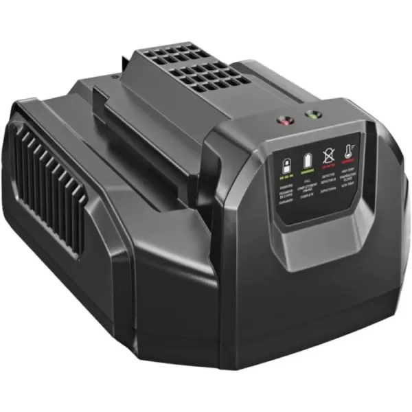 EGO Power+ CH3200 56-Volt Lithium-ion 320W Speed Charger, Black