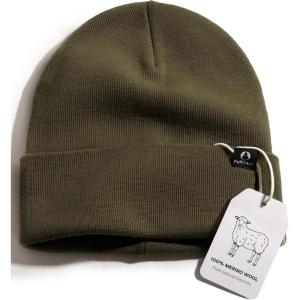 imageFURTALK 100 Merino Wool Beanie Hat for Men Women Warm Winter Hat Double Layer Knitted BeaniesGreen