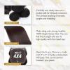 imageSensationnel Empire Multi weave hair STRAIGHT  virgin human layered lengths with 4x4 Closure  EMPIRE Multi 4X4 STRAIGHT 12 14 16 Inch NATURALBLACKNATURAL