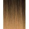 imageSensationnel Instant UpampampDown Down 012 2TopBottom Mix DarkBrown  HoneyBlonde T227