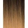 imageSensationnel Instant updown halfwig pony  unit 6 Instant up and down 4 style in 1 half wig and pony drawstring  Instant UD unit 6 T2COPPERTopBottom Mix DarkBrown  HoneyBlonde T227
