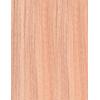 imageSensationnel ShearMuse Crystal Cloud Lace Wigs  Dulcia Wide 5 Inch Deep Parting Synthetic Preplucked Hairline Glueless Lacefront CORALPINKPEACHSORBET