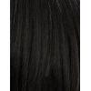 imageSensationnel Platinum Glow 13X6 Wigs  Delphine Lacefrontal Glueless human hair blend Preplucked Hairline 1 JETBLACKSILVERWHISPER
