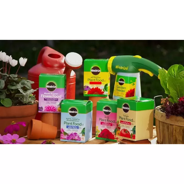 Miracle-Gro 2000422 Tomato Plant Food Tomato Fertilizer , 1.5 lb