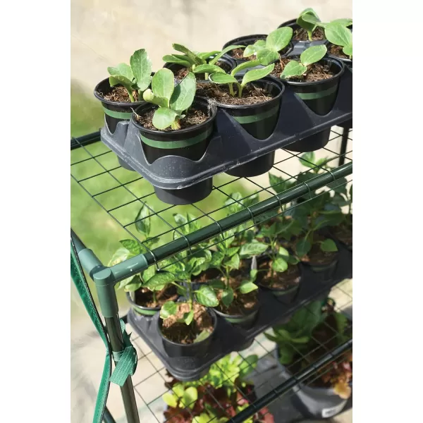 Miracle-Gro 23" x 17" x 57" All-Season 4-Tier Mini Grow House Outdoor or Backyard Easy Assembly Portable Greenhouse, Translucent