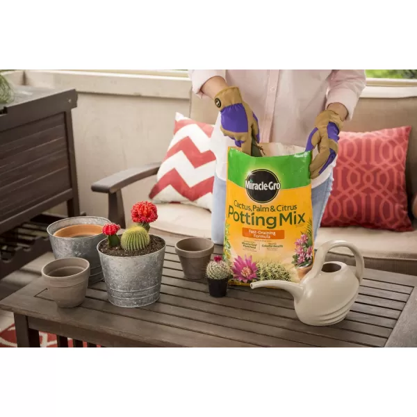 Miracle-Gro Cactus, Palm &amp; Citrus Soil - For Containers , Added Fertilizer Feeds for 6 Months, 8 qt.