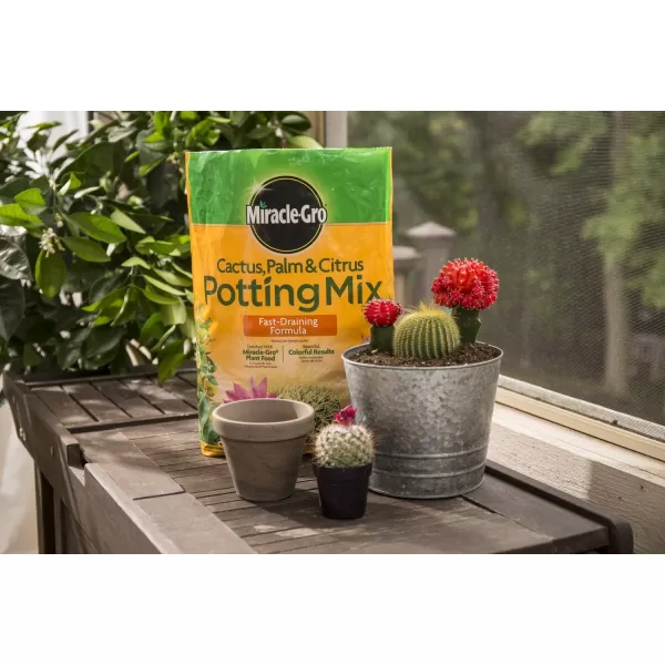 Miracle-Gro Cactus, Palm &amp; Citrus Soil - For Containers , Added Fertilizer Feeds for 6 Months, 8 qt.