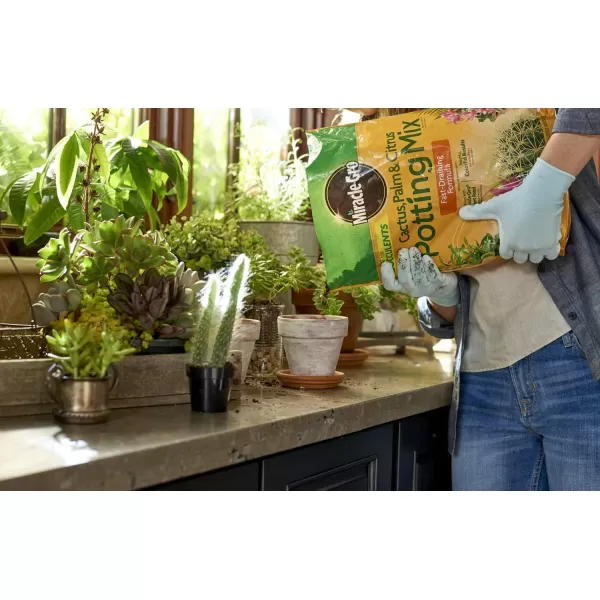 Miracle-Gro Cactus, Palm &amp; Citrus Soil - For Containers , Added Fertilizer Feeds for 6 Months, 8 qt.