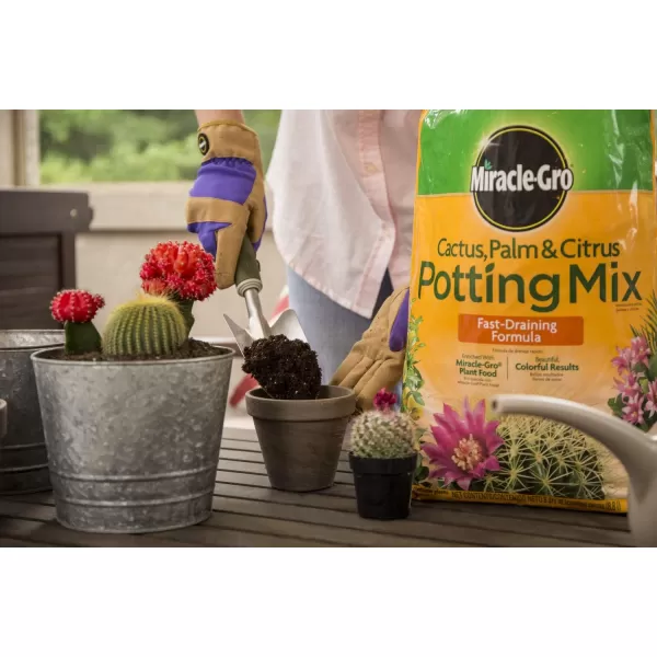 Miracle-Gro Cactus, Palm &amp; Citrus Soil - For Containers , Added Fertilizer Feeds for 6 Months, 8 qt.