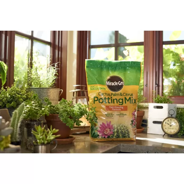 Miracle-Gro Cactus, Palm &amp; Citrus Soil - For Containers , Added Fertilizer Feeds for 6 Months, 8 qt.