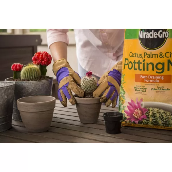 Miracle-Gro Cactus, Palm &amp; Citrus Soil - For Containers , Added Fertilizer Feeds for 6 Months, 8 qt.