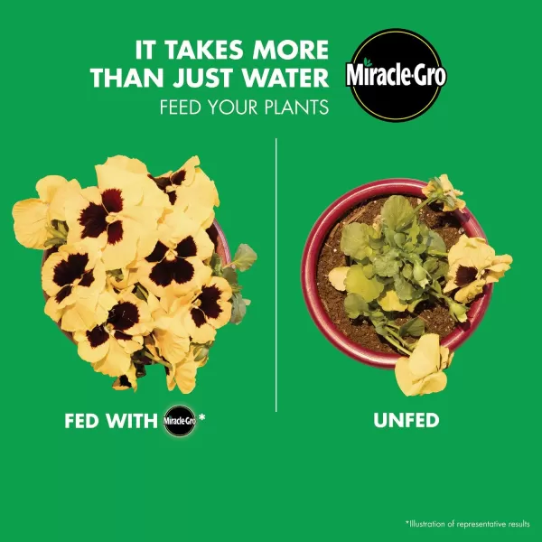 Miracle-Gro Garden Feeder
