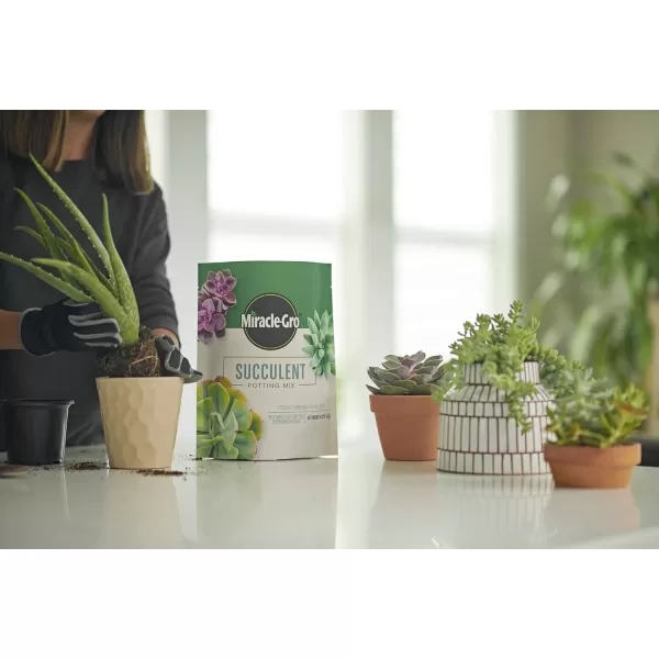 Miracle-Gro Houseplant Potting Mix: Fertilized, Perlite Soil for Indoor Gardening, Designed to Be Less Prone to Gnats, 4 qt.