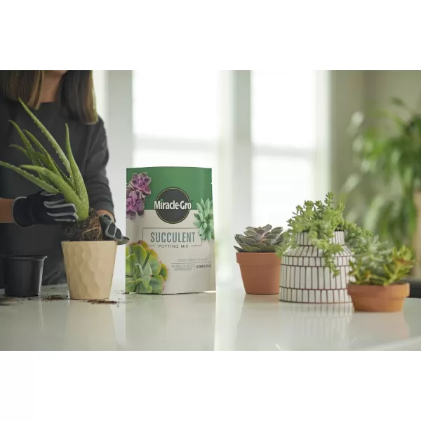 Miracle-Gro Houseplant Potting Mix: Fertilized, Perlite Soil for Indoor Gardening, Designed to Be Less Prone to Gnats, 4 qt.