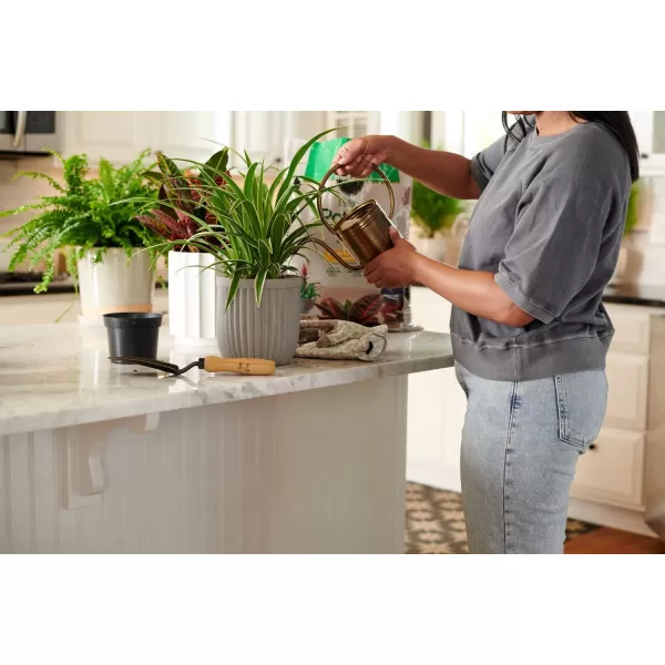 Miracle-Gro Indoor Potting Mix, Grows beautiful Houseplants, 6 qt. 