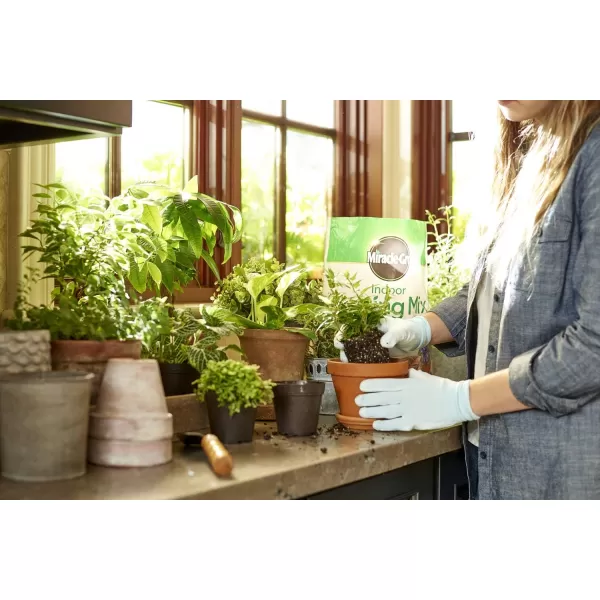 Miracle-Gro Indoor Potting Mix, Grows beautiful Houseplants, 6 qt. )