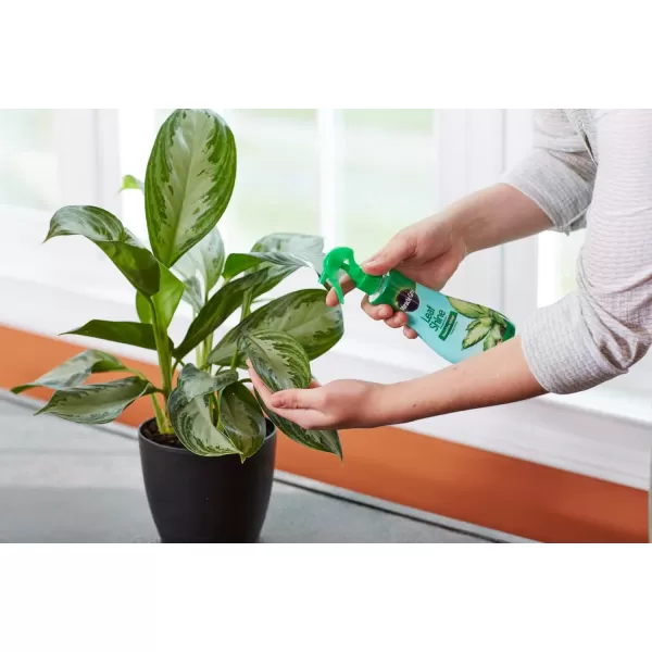 Miracle-Gro Leaf Shine, 8-Ounce Green
