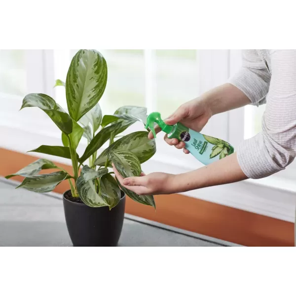 Miracle-Gro Leaf Shine, 8-Ounce Green)