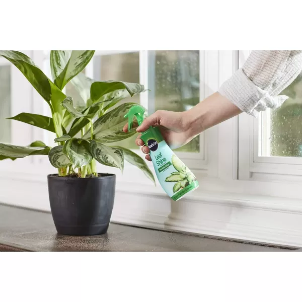 Miracle-Gro Leaf Shine, 8-Ounce Green