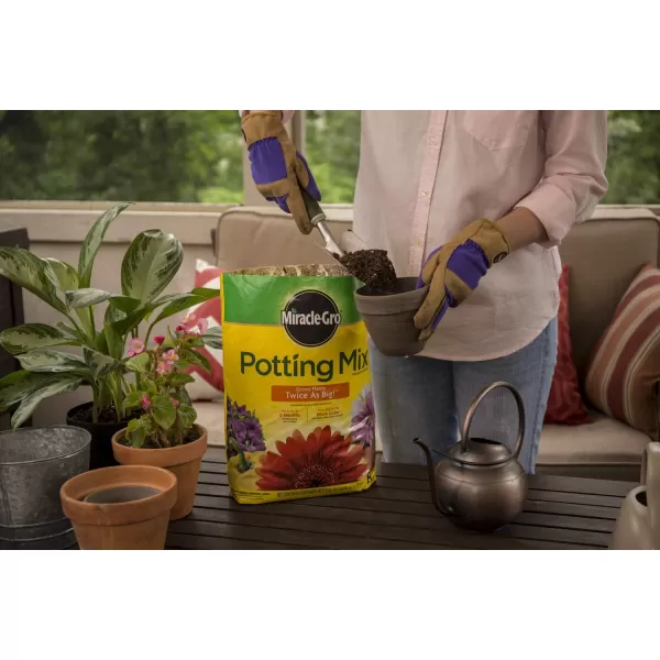 Miracle-Gro Potting Mix, 8 qt. )