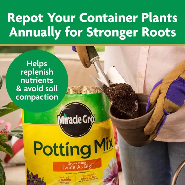 Miracle-Gro Potting Mix, 8 qt. )