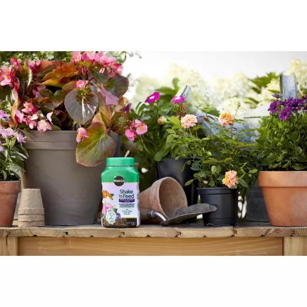 Miracle-Gro Shake 'N Feed Rose &amp; Bloom Plant Food, Plant Fertilizer, 4.5 lbs. 