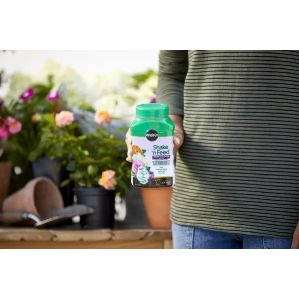 Miracle-Gro Shake 'N Feed Rose &amp; Bloom Plant Food, Plant Fertilizer, 4.5 lbs. 