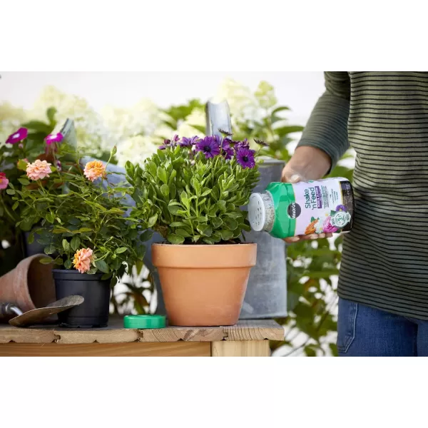 Miracle-Gro Shake 'N Feed Rose &amp; Bloom Plant Food, Plant Fertilizer, 4.5 lbs. 