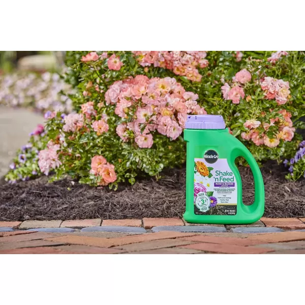 Miracle-Gro Shake 'N Feed Rose &amp; Bloom Plant Food, Plant Fertilizer, 4.5 lbs. 