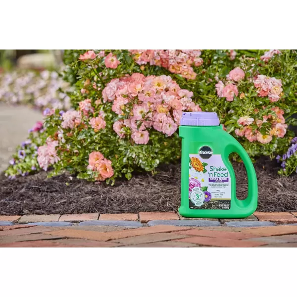 Miracle-Gro Shake 'N Feed Rose &amp; Bloom Plant Food, Plant Fertilizer, 4.5 lbs. 