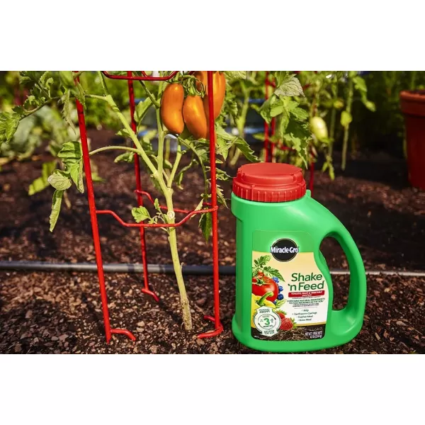 Miracle-Gro Shake 'N Feed Tomato, Fruit &amp; Vegetable Plant Food, Plant Fertilizer, 4.5 lbs. 