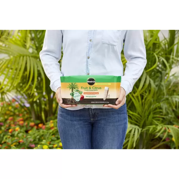 Miracle-Gro Tree &amp; Shrub Plant Food Spikes, 12 Spikes/Pack, 12 count )