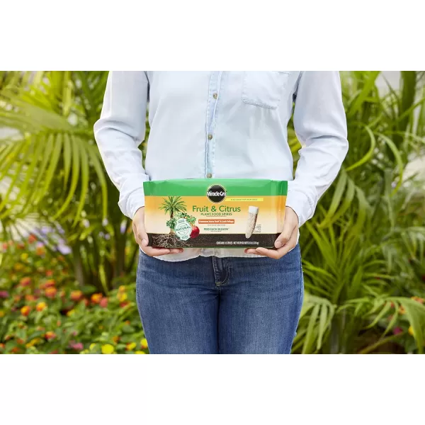 Miracle-Gro Tree &amp; Shrub Plant Food Spikes, 12 Spikes/Pack, 12 count 