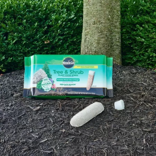 Miracle-Gro Tree &amp; Shrub Plant Food Spikes, 12 Spikes/Pack, 12 count 