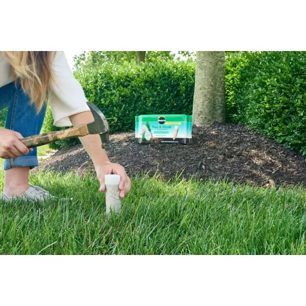 Miracle-Gro Tree &amp; Shrub Plant Food Spikes, 12 Spikes/Pack, 12 count )