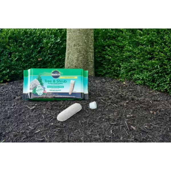 Miracle-Gro Tree &amp; Shrub Plant Food Spikes, 12 Spikes/Pack, 12 count )