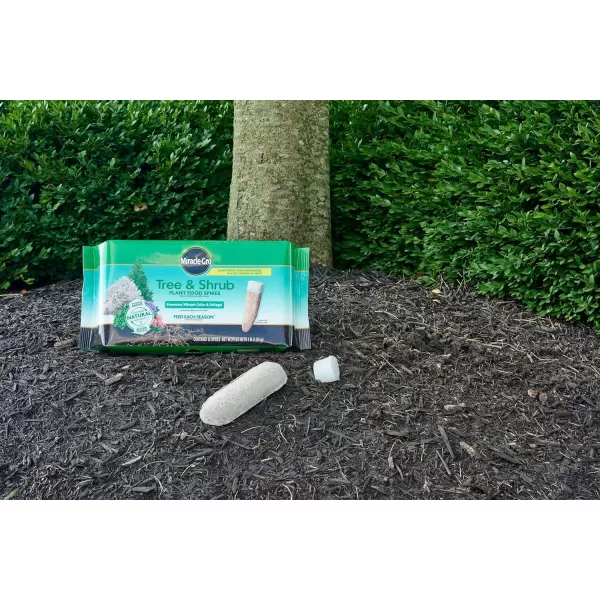 Miracle-Gro Tree &amp; Shrub Plant Food Spikes, 12 Spikes/Pack, 12 count 