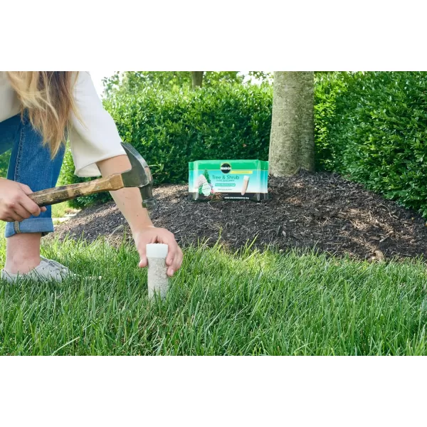 Miracle-Gro Tree &amp; Shrub Plant Food Spikes, 12 Spikes/Pack, 12 count 