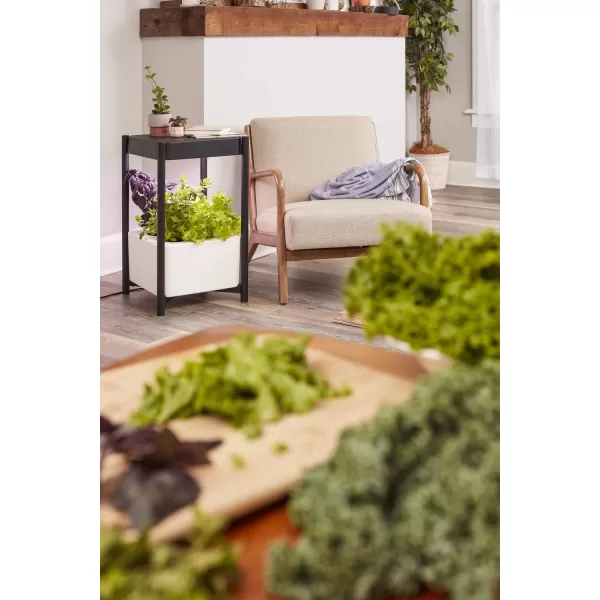Miracle-Gro Twelve Indoor Growing System, Side Table with LED Grow Light for Year Round Gardening, Planter For Leafy Greens, Herbs &amp; Flowers